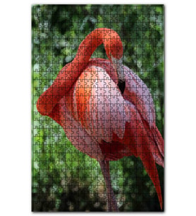 Cakapuzzle Flamingo Tüylerini Temizliyor Puzzle Yapboz MDF (Ahşap) (1000 Parça)