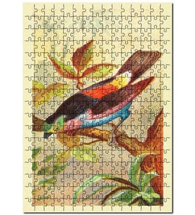 Cakapuzzle Paradise Tanager Kuş Görseli Puzzle Yapboz MDF (Ahşap) (1000 Parça)