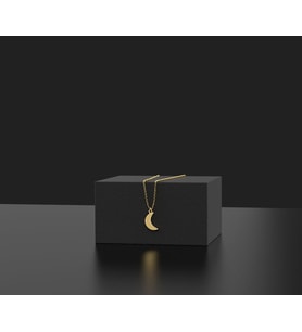 Kişiye Özel 925 Ayar Gümüş Minimal Ay Kolye (Gold)