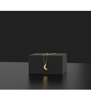 Kişiye Özel 925 Ayar Gümüş Minimal Ay Kolye (Gold)
