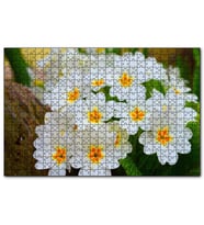 Cakapuzzle Bayaz Çuha Çiçeği Görseli  Puzzle Yapboz MDF (Ahşap) (500 Parça)