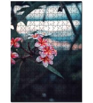 Cakapuzzle Pembe Plumeria Çiçekleri Flu Arkaplan Puzzle Yapboz MDF (Ahşap) (255 Parça)