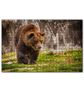 Cakapuzzle  Boz Ayı Ormanda  Puzzle Yapboz MDF (Ahşap) (1000 Parça)