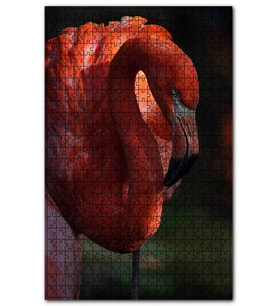 Cakapuzzle Zarif Flamingo Puzzle Yapboz MDF (Ahşap) (255 Parça)