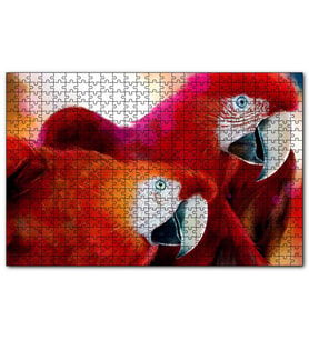 Cakapuzzle Kırmızı Papağanlar  Puzzle Yapboz MDF (Ahşap) (255 Parça)