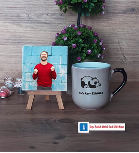 Uykucu Panda Fotoğraflı Dekoratif Taş, Kupa Bardak Beyaz Hediye (Model 10)