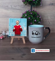 Uykucu Panda Fotoğraflı Dekoratif Taş, Kupa Bardak Beyaz Hediye (Model 10)