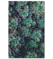 Cakapuzzle Sukulent Bitkileri Üstten Görünüm Puzzle Yapboz MDF (Ahşap) (1000 Parça)