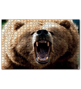 Cakapuzzle Agresif Boz Ayı Yakın Çekim Puzzle Yapboz MDF (Ahşap) (1000 Parça)