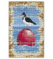 Cakapuzzle Kırmızı Top Üstünde Martı Puzzle Yapboz MDF (Ahşap) (1000 Parça)