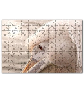 Cakapuzzle Pelikan Yakın Çekim Flu Arkaplan Puzzle Yapboz MDF (Ahşap) (500 Parça)