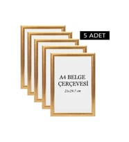 5 Li Set A4(21x29.7) (21x30)Diploma Çerçevesi Belge Çerçeveleri Sertifika Çerçevesi (Gold)