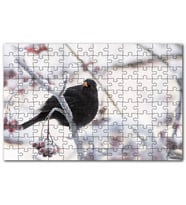 Cakapuzzle Karlı Dalların Üzerindeki Karatavuk Puzzle Yapboz MDF (Ahşap) (255 Parça)
