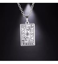 Kişiye Özel 925 Ayar Gümüş Balık Burcu Kolye (Gümüş)