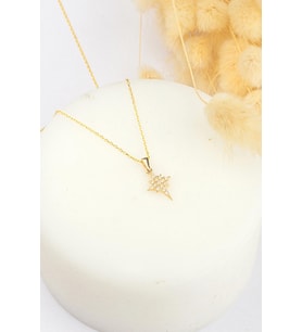 14K Cielo Altın Kolye (Rose)