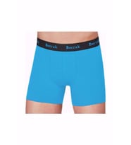 Berrak 4476 Erkek Modal Likralı Boxer 2 Adet (Mavi)