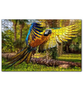 Cakapuzzle Papağan Mavi Turuncu Sarı Ormanda Uçuyor  Puzzle Yapboz MDF (Ahşap) (1000 Parça)