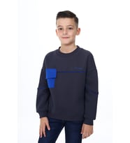 Toontoy Erkek Çocuk Baskılı Sweatshirt (Füme)