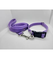 Hebmeyy Köpek Tasma Gezdirme, Köpek Gezdirme Takımı, Mini ve Orta Irk, Yavru Köpek Gezdirme Köpek Boyun Tasması (Lila)