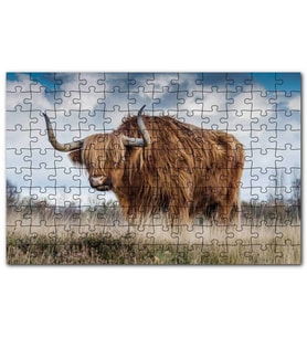 Cakapuzzle Bozkırda Kahverengi Yak Öküzü ve Bulutlar Puzzle Yapboz MDF (Ahşap) (500 Parça)