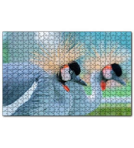 Cakapuzzle Açık Mavi Renkli Tepeli Turna Görseli  Puzzle Yapboz MDF (Ahşap) (1000 Parça)
