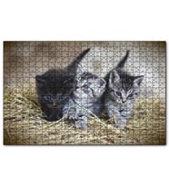 Cakapuzzle Samanlar Arasında Mavi Gözlü Üç Yavru Kedi Puzzle Yapboz MDF (Ahşap) (1000 Parça)