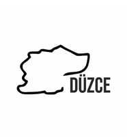 Düzce Harita Araba Sticker siyah 17x9 CM (Siyah)