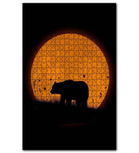 Cakapuzzle Çayırda Boz Ayı ve Arkada Süper Ay Puzzle Yapboz MDF (Ahşap) (500 Parça)