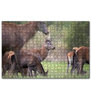 Cakapuzzle Çayırda Otlayan Geyikler  Puzzle Yapboz MDF (Ahşap) (255 Parça)