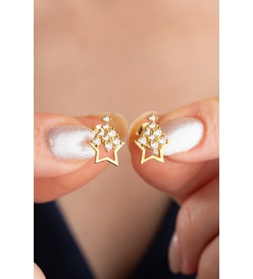 25 Ayar Gümüş Zirkon Taşlı Yıldız Küpe (Gold)