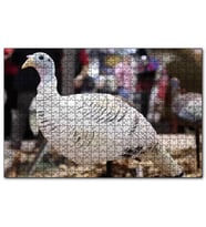 Cakapuzzle Beyaz Hindi Biblo  Puzzle Yapboz MDF (Ahşap) (255 Parça)