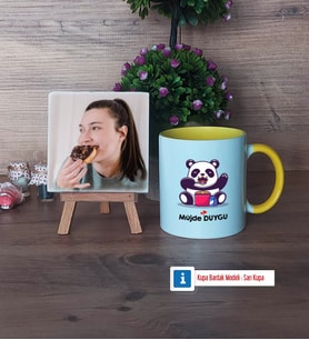 Sevimli Panda Fotoğraflı Dekoratif Taş, Kupa Bardak Beyaz Hediye (Model 7)