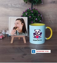 Sevimli Panda Fotoğraflı Dekoratif Taş, Kupa Bardak Beyaz Hediye (Model 7)