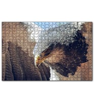 Cakapuzzle Süzülen Kartal Yakın Plan  Puzzle Yapboz MDF (Ahşap) (255 Parça)