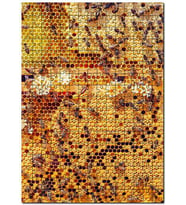 Cakapuzzle Arı Peteği Görseli Puzzle Yapboz MDF (Ahşap) (500 Parça)