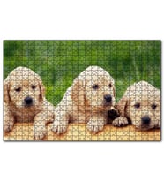 Cakapuzzle Kütüğün Üzerinde Üç Sevimli Labrador Puzzle Yapboz MDF (Ahşap) (1000 Parça)