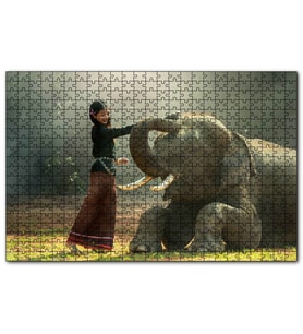 Cakapuzzle Çayırdaki Fil ve Onu Seven Kız  Puzzle Yapboz MDF (Ahşap) (1000 Parça)