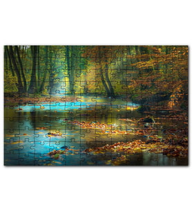 Cakapuzzle Orman İçindeki Nehir Suda Sonbahar Yapraklar Puzzle Yapboz MDF(Ahşap) (255 Parça)