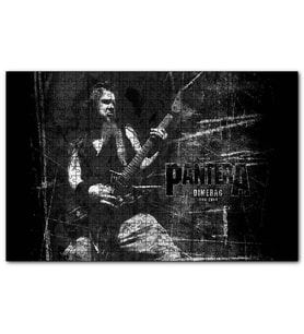 Cakapuzzle Pantera Dimebag Darrell Gitar Çalıyor  Puzzle Yapboz MDF (Ahşap) (255 Parça)