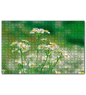 Cakapuzzle Beyaz Papatyalar Flu Arkaplan Puzzle Yapboz MDF (Ahşap) (1000 Parça)
