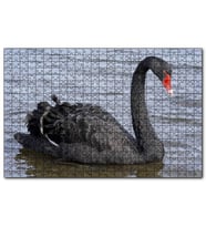 Cakapuzzle Göldeki İhtişamlı Siyah Kuğu  Puzzle Yapboz MDF (Ahşap) (500 Parça)