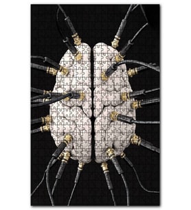 Cakapuzzle Zihin Beyin Kontrol Figürü Görseli Puzzle Yapboz MDF (Ahşap) (255 Parça)