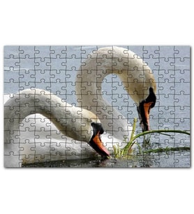 Cakapuzzle Gölde Beslenen Bir Çift Beyaz Kuğu Puzzle Yapboz MDF (Ahşap) (500 Parça)