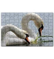 Cakapuzzle Gölde Beslenen Bir Çift Beyaz Kuğu Puzzle Yapboz MDF (Ahşap) (500 Parça)
