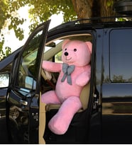 Mavimsi 160 Cm Papyonlu Büyük Ayıcık (%100 Yerli) (Pembe)