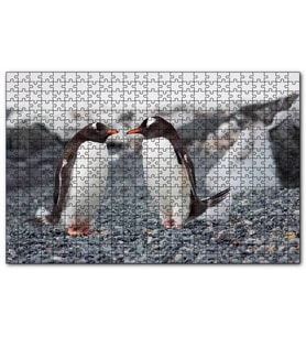 Cakapuzzle Sevimli Penguenler ve Çakıl Taşları  Puzzle Yapboz MDF (Ahşap) (255 Parça)