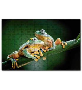 Cakapuzzle Yeşil Dalda Bir Çift Kurbağa Puzzle Yapboz MDF (Ahşap) (500 Parça)