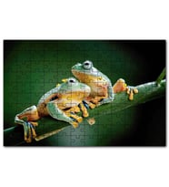 Cakapuzzle Yeşil Dalda Bir Çift Kurbağa Puzzle Yapboz MDF (Ahşap) (500 Parça)