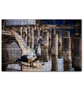 Cakapuzzle İskele Direkleri Arasındaki Kuş  Puzzle Yapboz MDF (Ahşap) (1000 Parça)