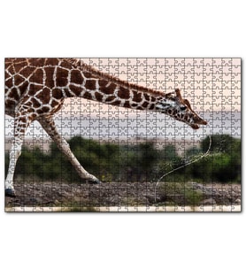 Cakapuzzle Su İçen Zurafa  Puzzle Yapboz MDF (Ahşap) (255 Parça)